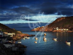 St. John's, the Narrows